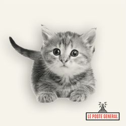 cover art for LES ORIGINES DU MONDE