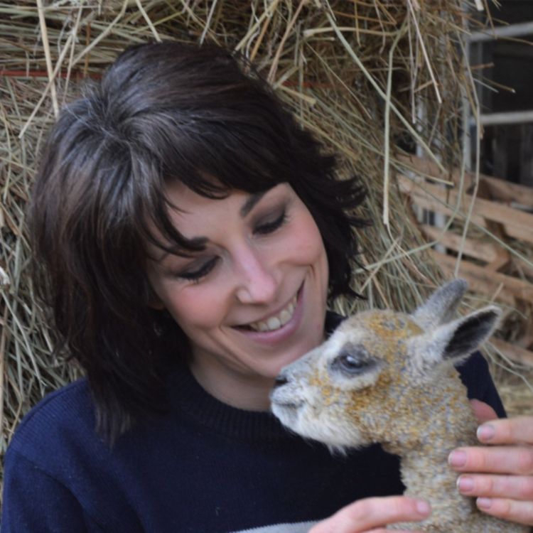 cover art for Stéphanie Maubé : une bergère aux déviations plurielles