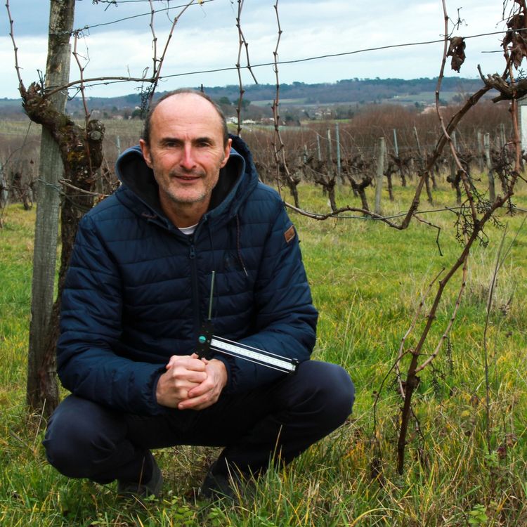 cover art for Vignerons pur jus 5/5 Soigner le corps, l’esprit et l’âme du vin