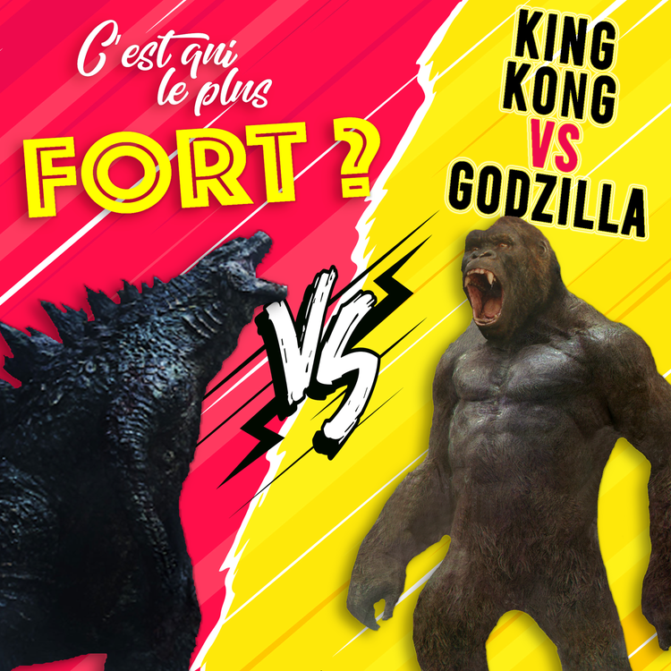 cover art for King kong vg vs Godzilla, on clôt le débat !