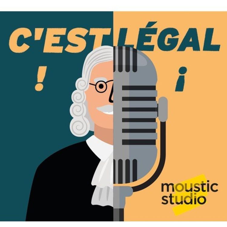 cover art for Je vis seul, puis-je léguer mes biens à mon animal de compagnie ?