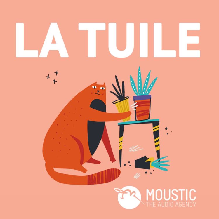 cover art for LA TUILE - Prêt immobilier, je me retrouve au chômage