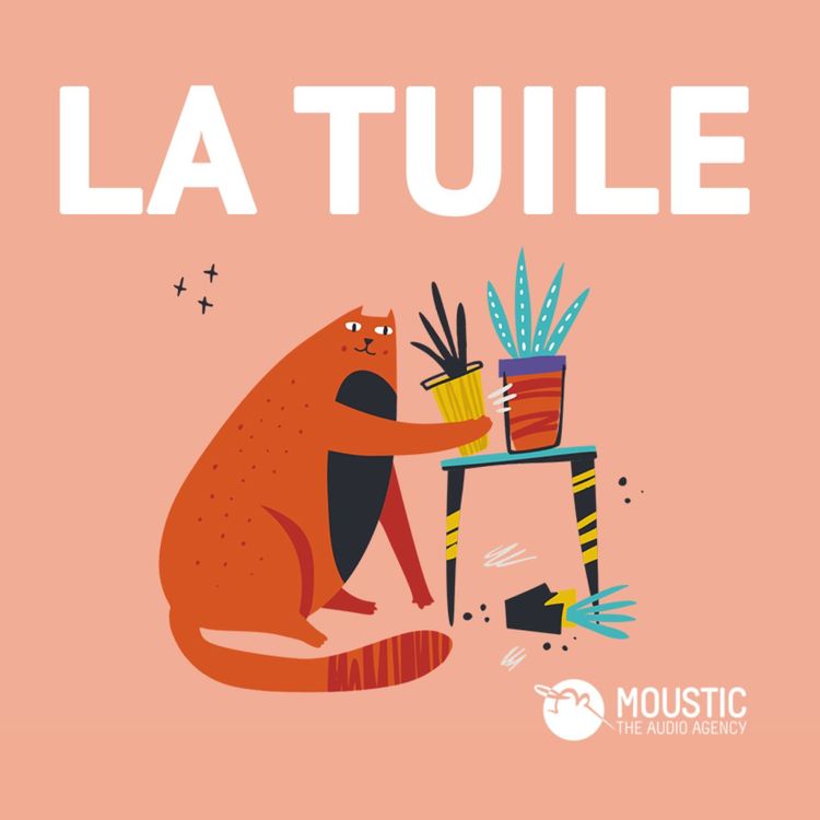 cover art for LA TUILE - Divorcée, je souhaite déménager avec les enfants