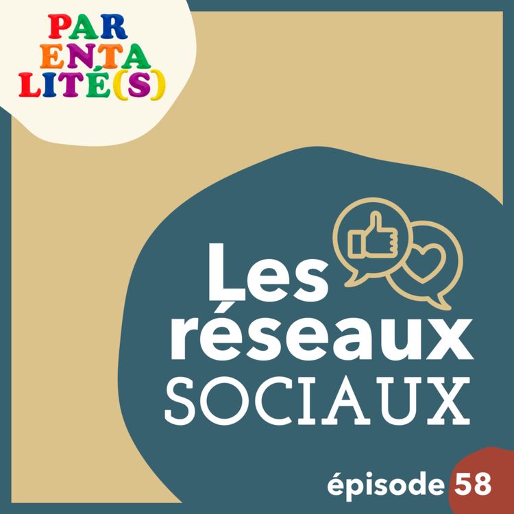 cover art for Les réseaux sociaux