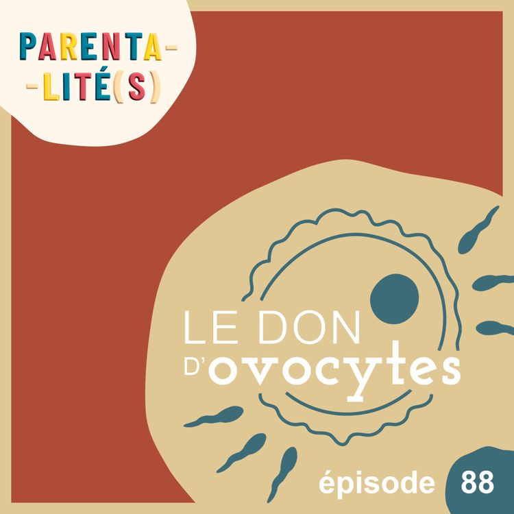 cover art for Le don d'ovocytes