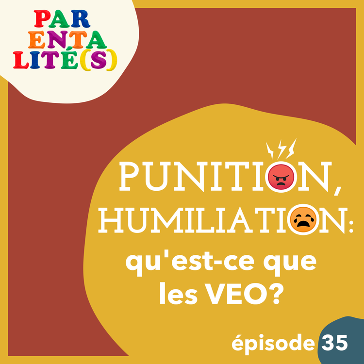 cover art for Punition, humiliation : qu'est ce que les VEO ?