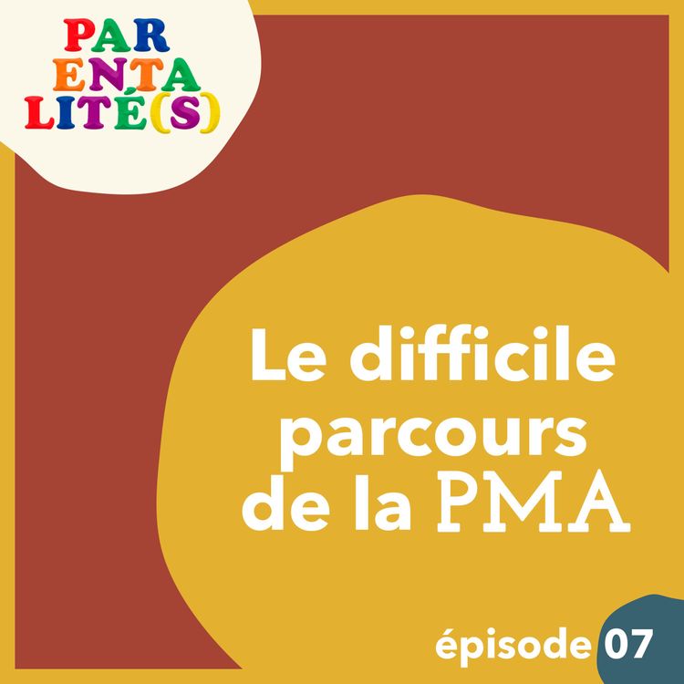 cover art for Le difficile parcours de la PMA
