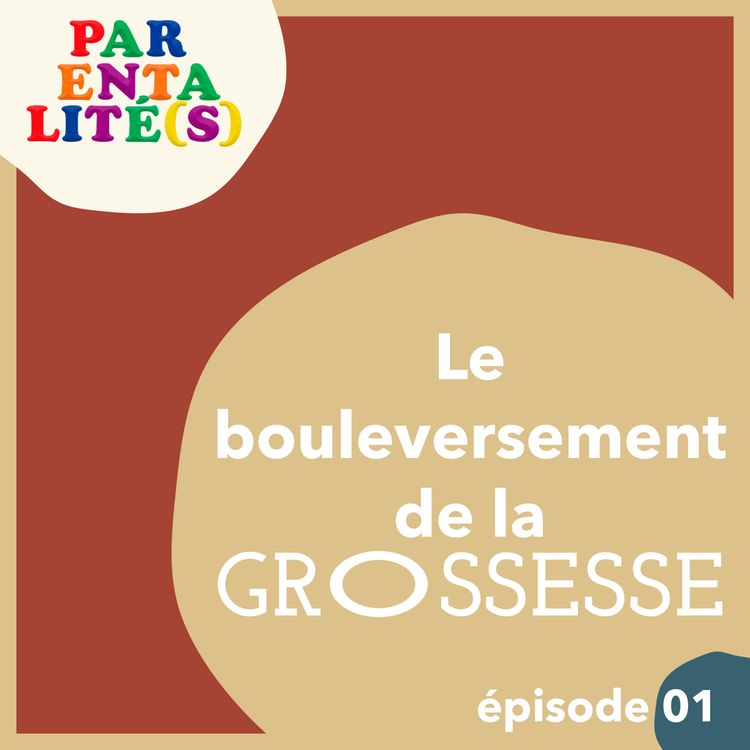 cover art for Le bouleversement de la grossesse.