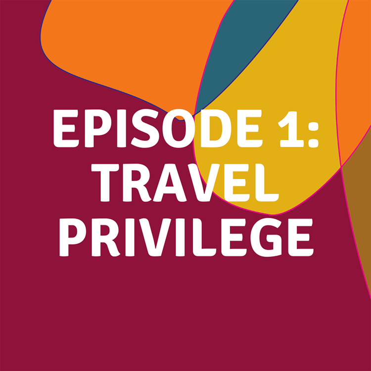 cover art for Travel Privilege