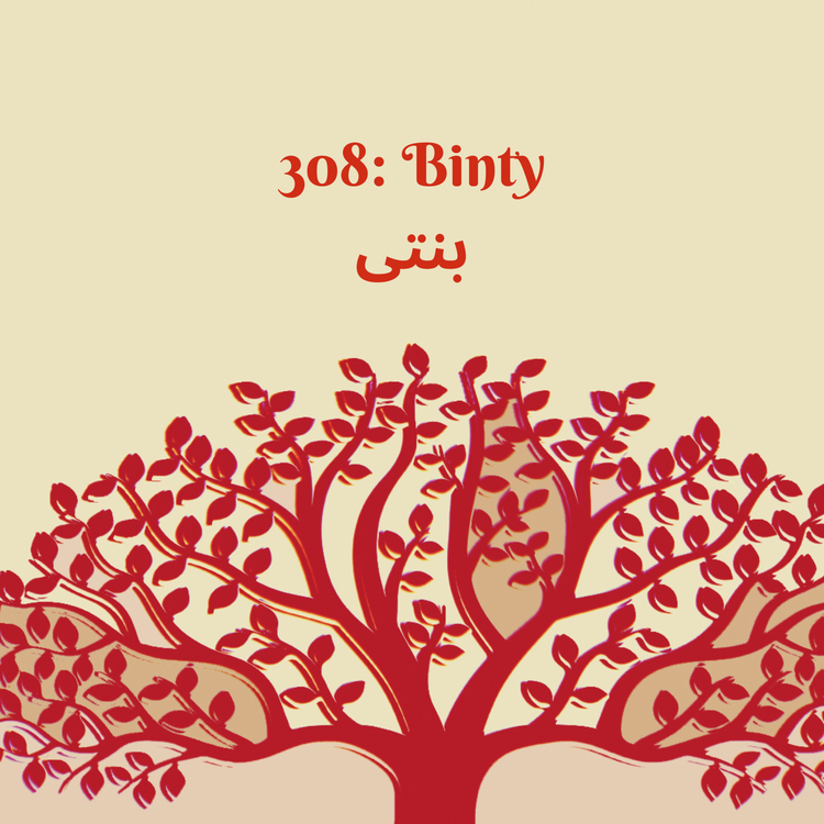 cover art for 308: Binty