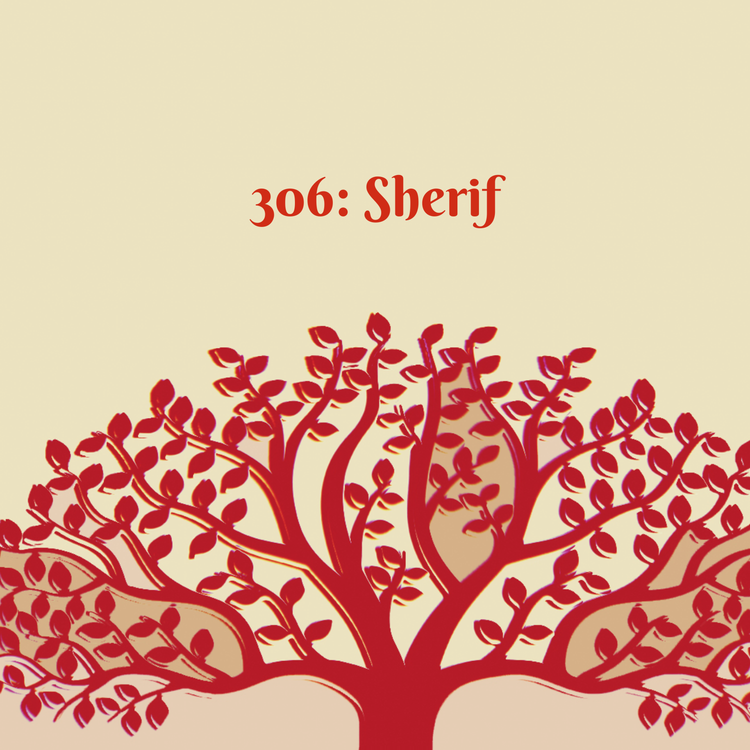 cover art for 306: Sherif