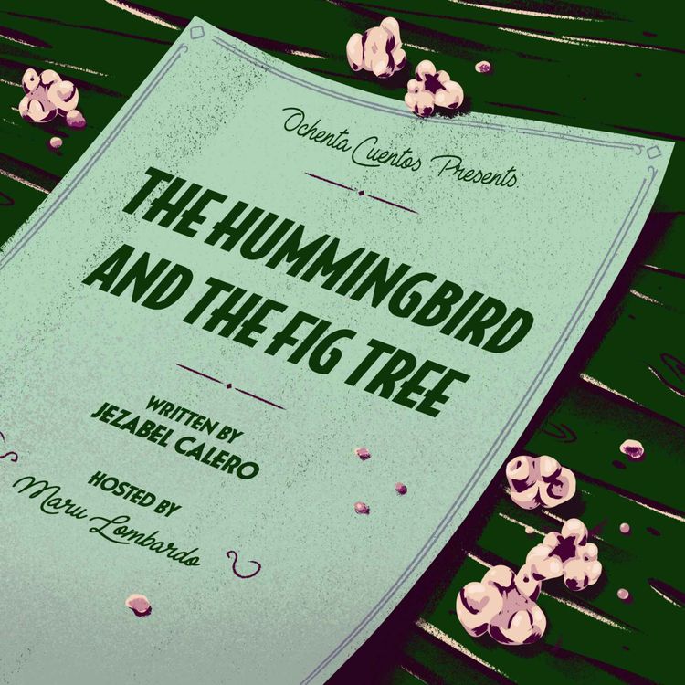 cover art for The Hummingbird and the Fig Tree