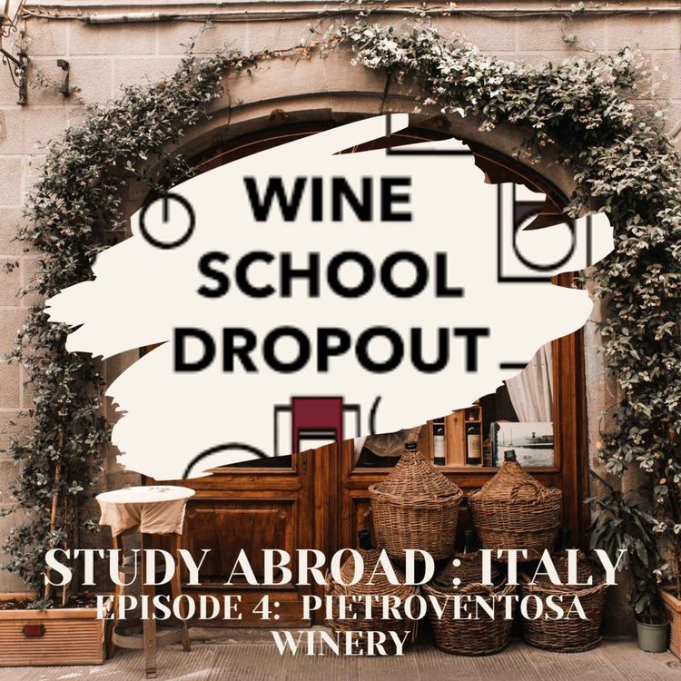 cover art for WSD STUDY ABROAD: Pietroventosa Winery