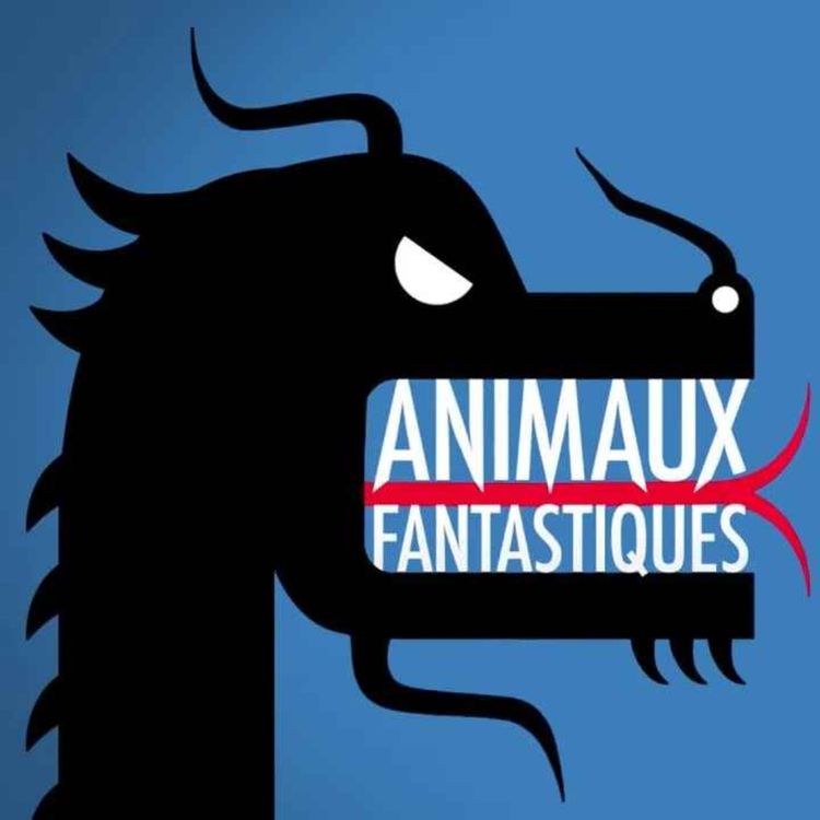 cover art for Animaux Fantastiques - Partie 1