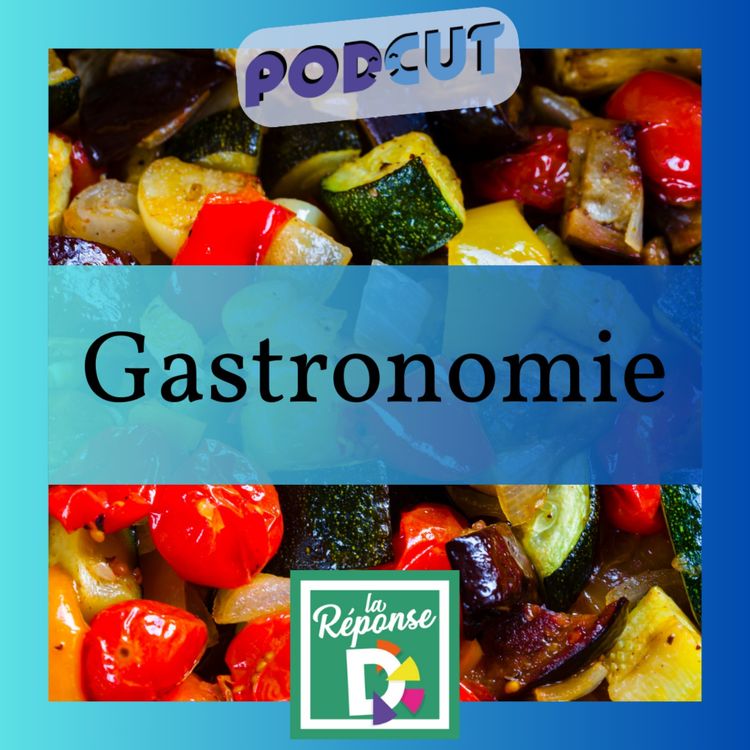 cover art for Gastronomie - Que risque-t-on à manger beaucoup de ratatouille ?