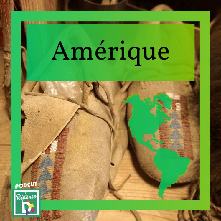 cover art for Amérique - Quelle est la spécificité des mocassins ?