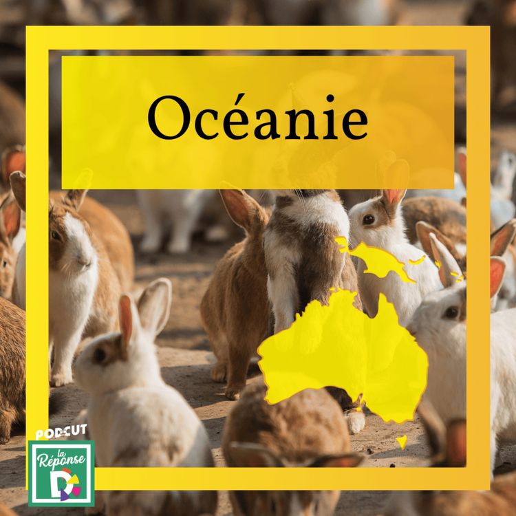 cover art for Océanie - Quel est le problème des lapins en Australie ?