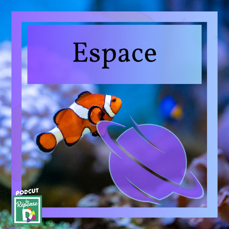 cover art for Espace - Qu’est-ce que le point Némo ?