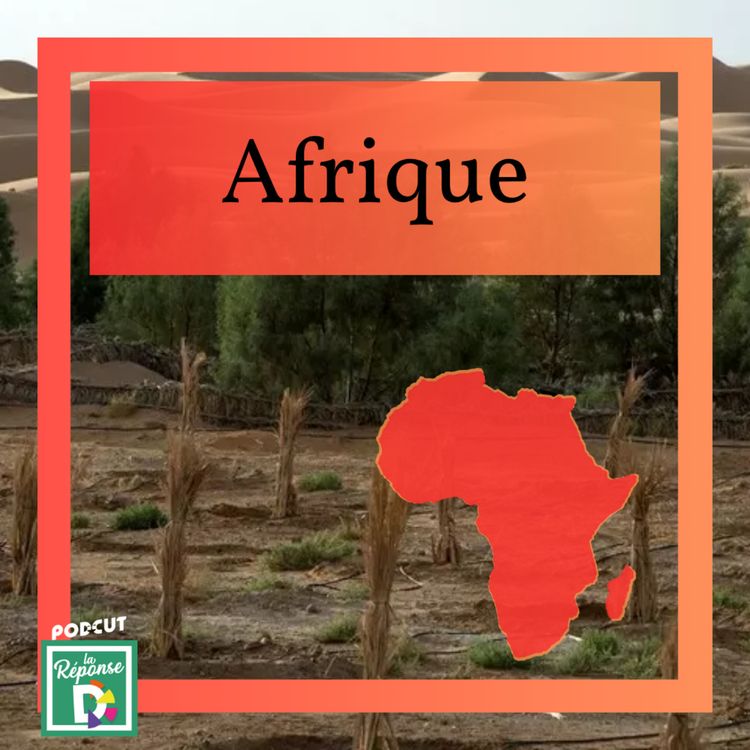 cover art for Afrique - Qu'est ce que la Grande Muraille Verte d'Afrique ?