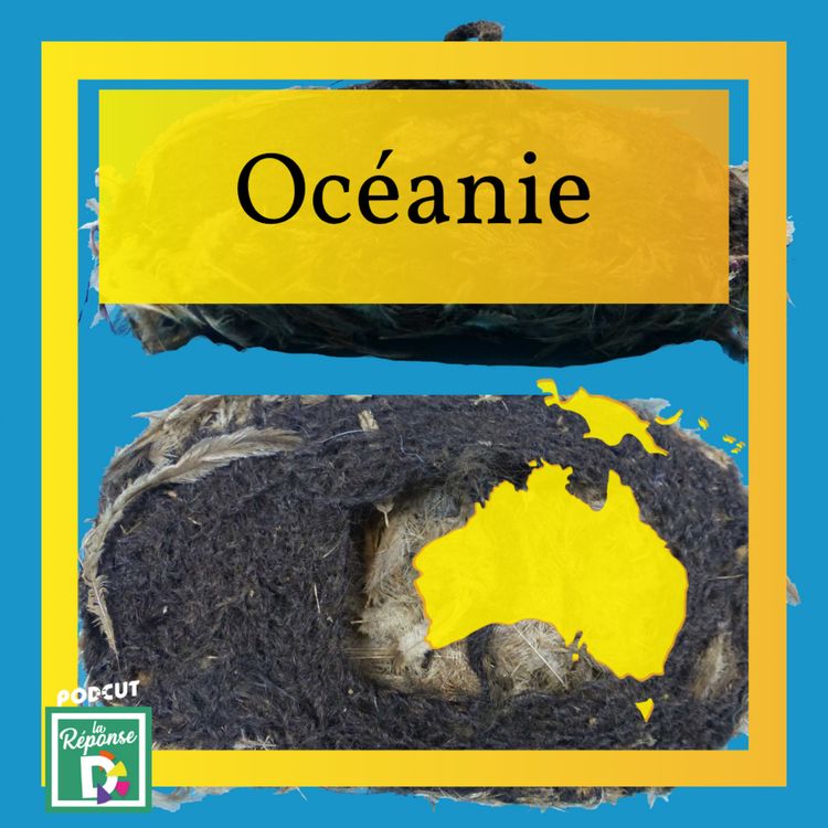 cover art for Océanie - Que sont les kurdaitcha ?