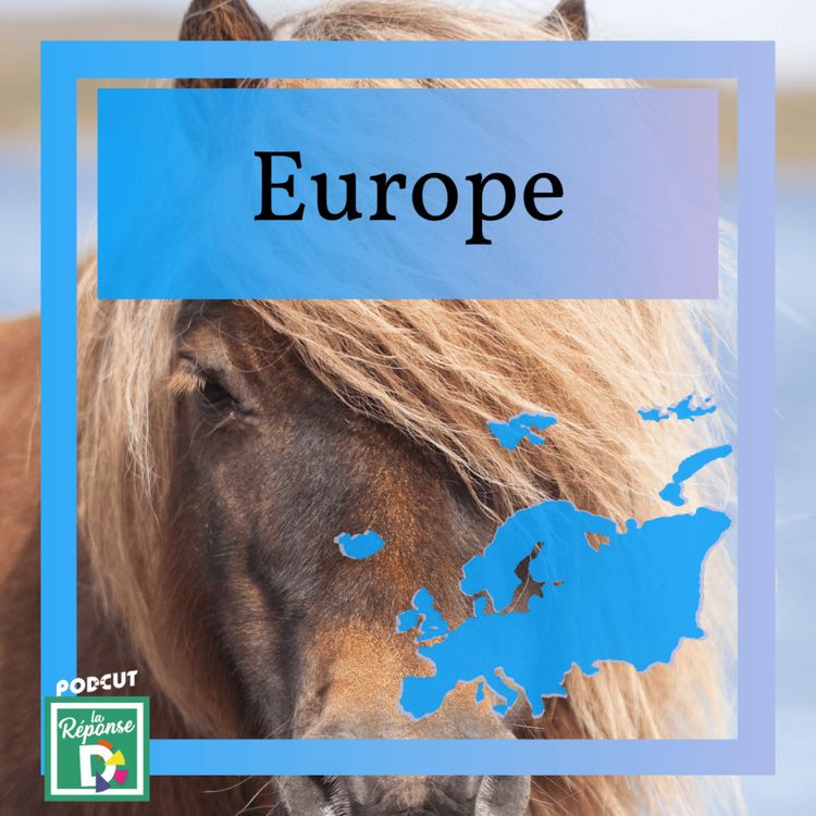 cover art for Europe - Où parlait-on viking à des poneys surpuissants jusqu’au 18eme siècle ?