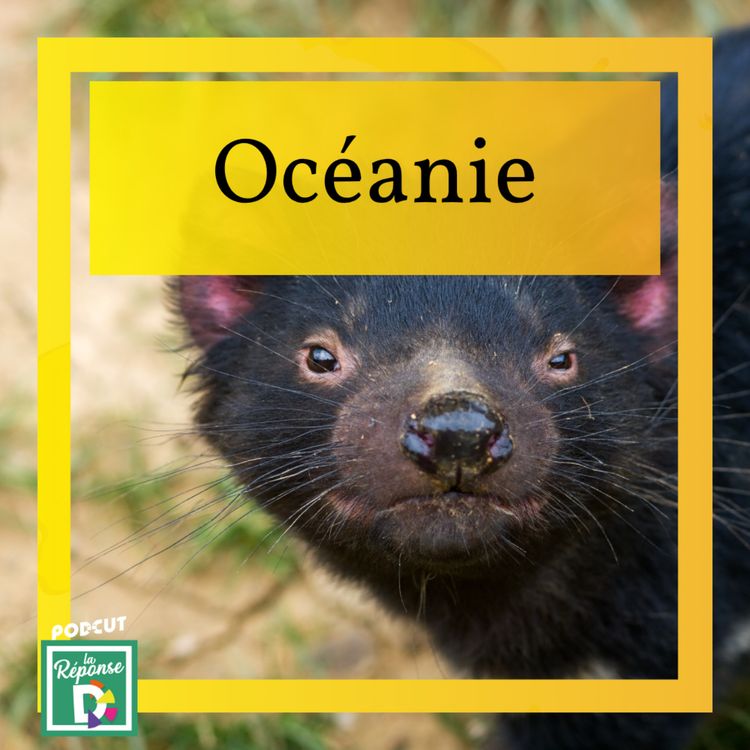 cover art for Océanie - Quel animal au cri terrifiant, disparu du continent australien, ne survit plus que sur une île ?