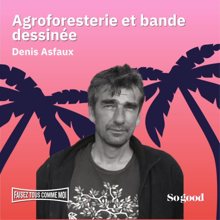 cover art for #61 Faisez tous comme moi! Agroforesterie et bande dessinée, avec Denis Asfaux