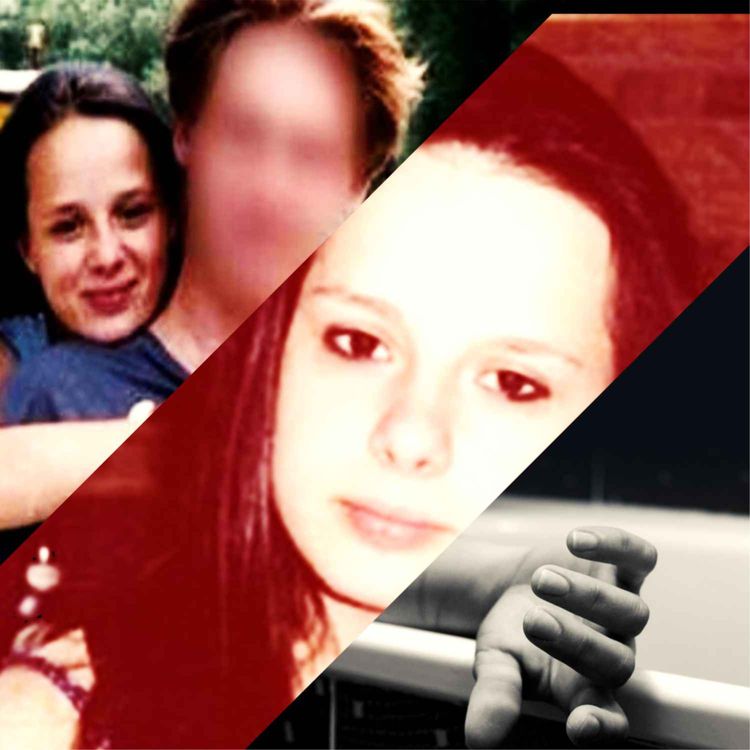 cover art for L'affaire Stéphanie Fauviaux, insomnies coupables