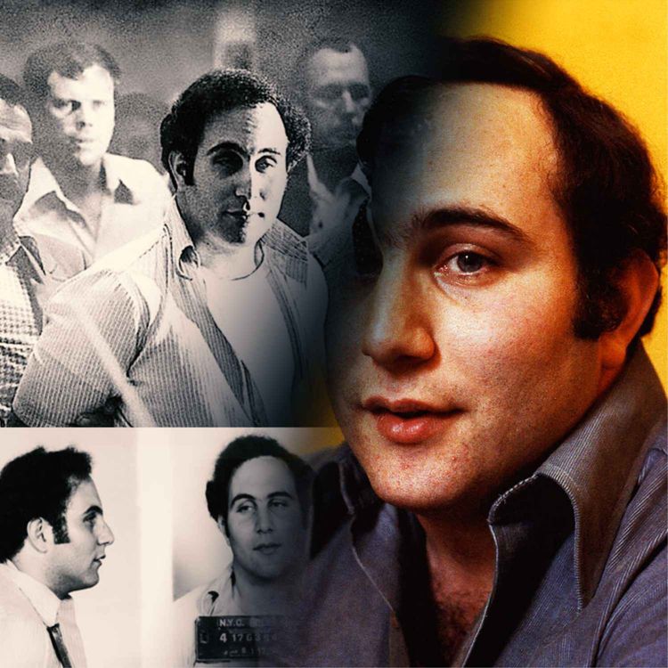 cover art for David Berkowitz, le fils de Sam