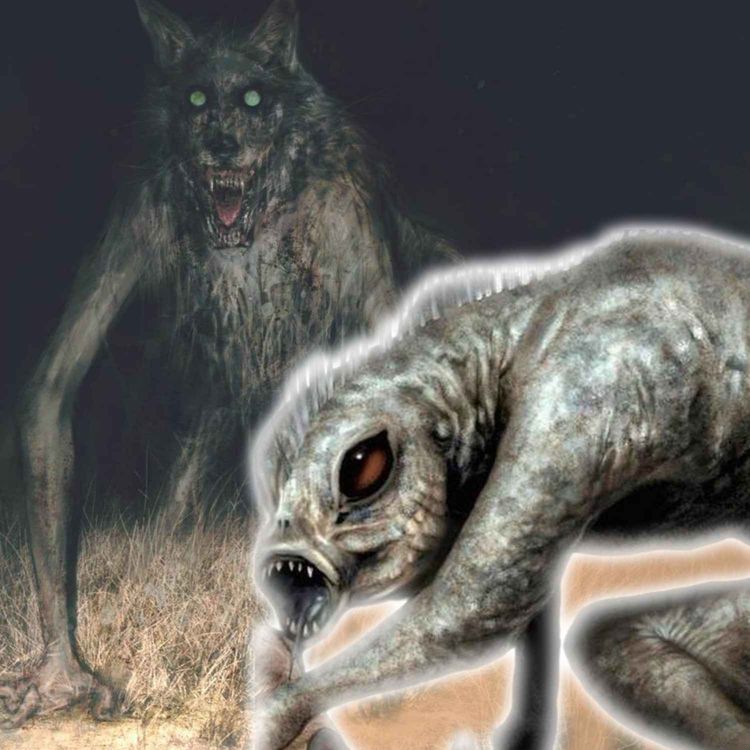 cover art for Monstres cryptides d'Amérique , Mythe ou Réalité !