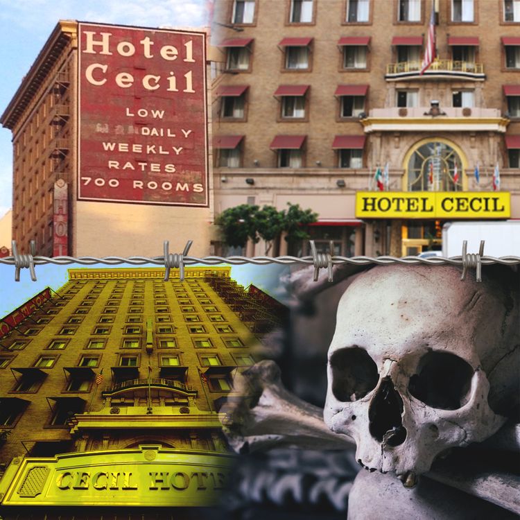 cover art for La malédiction du Cecil Hotel