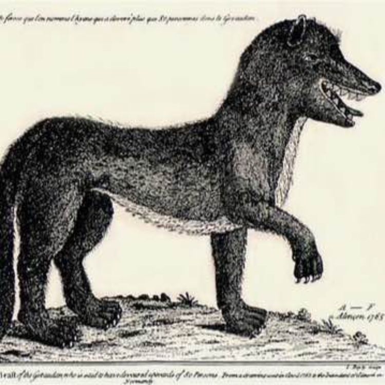 cover art for #41 The Beast Of Gévaudan!