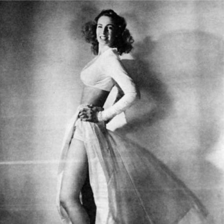 cover art for The Mysterious Model!