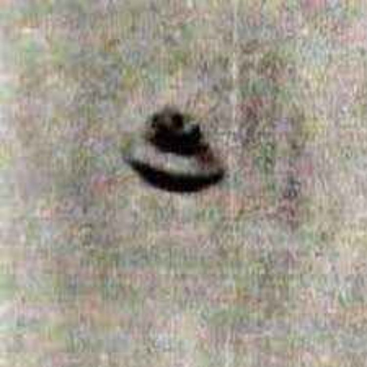 cover art for The Warminster Thing