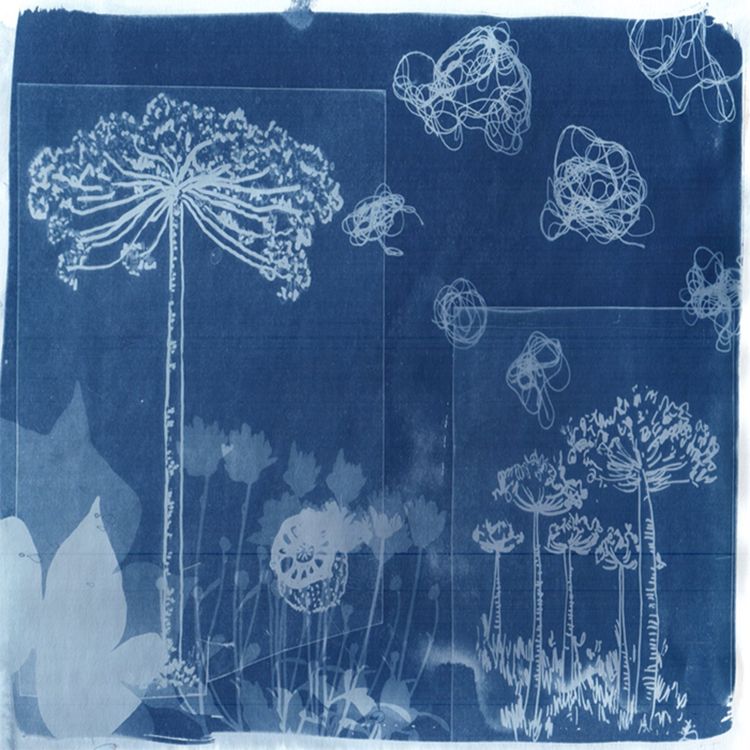 cover art for PAISAJE INTERMEDIO