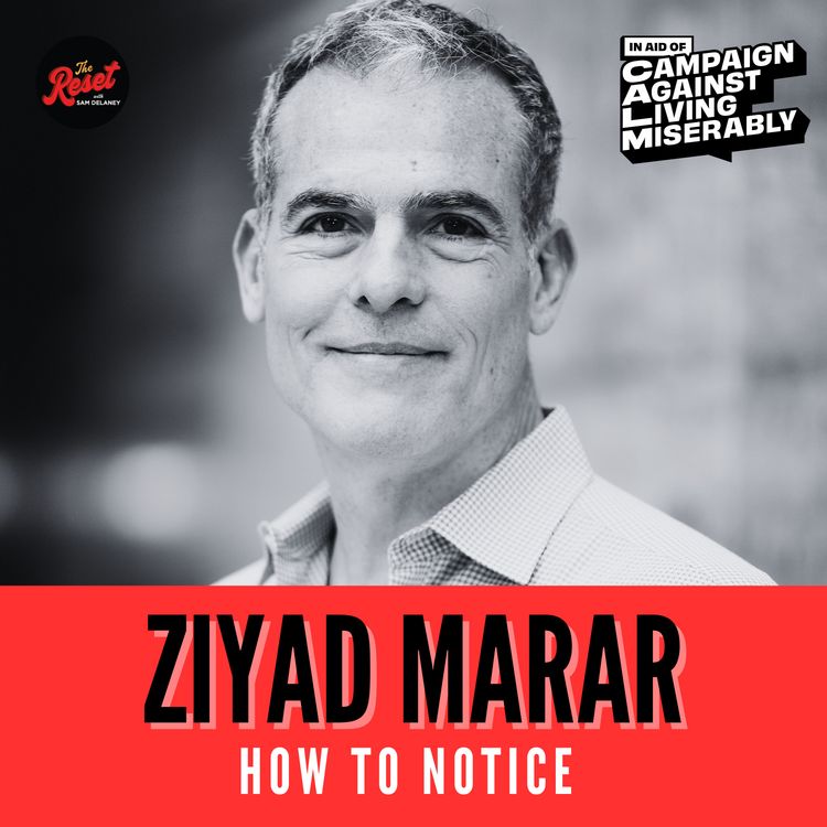 cover art for Ziyad Marar