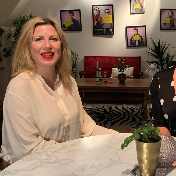 cover art for Jessica möter Anna Norström