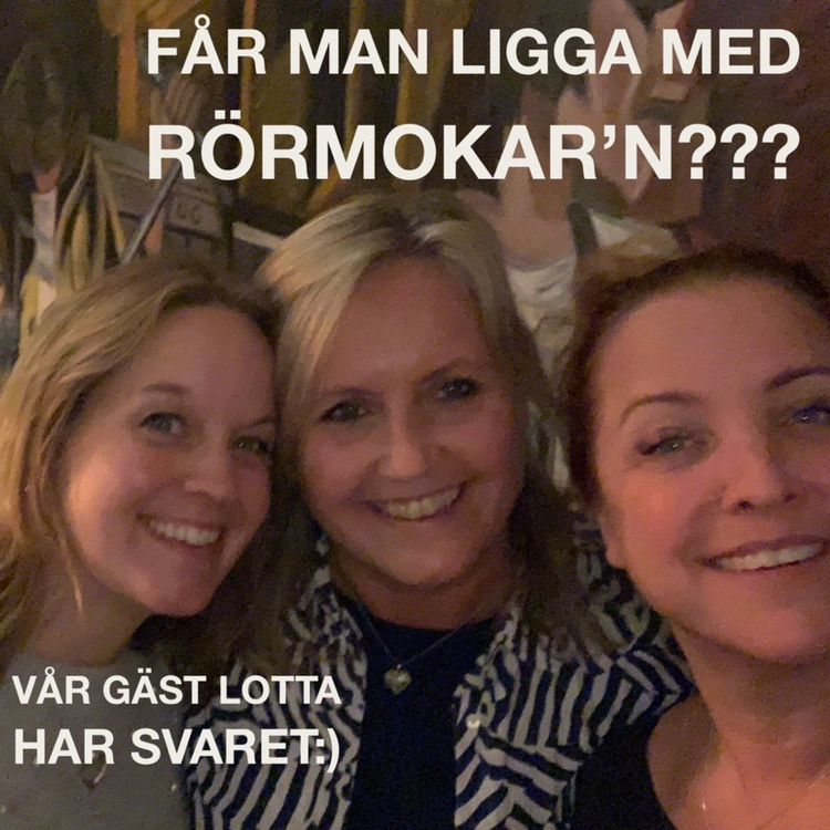 cover art for Får man ligga med rörmokar'n?