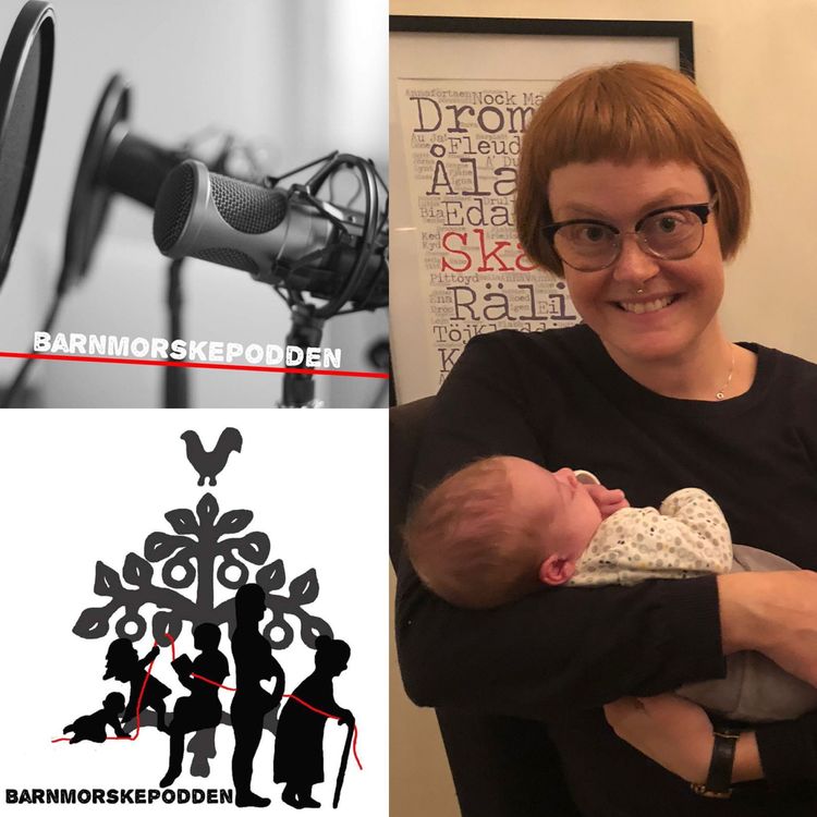 cover art for 58."Önskan om att ha en student vid födseln"