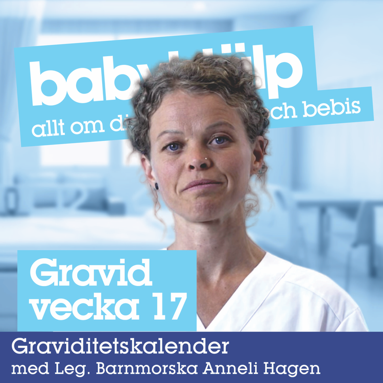 cover art for Gravid vecka 17 - detta händer i graviditetsvecka 17