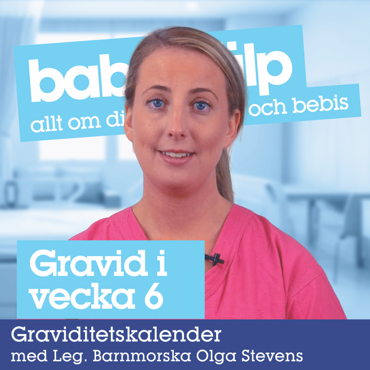 cover art for Gravid vecka 6 - detta händer i graviditetsvecka 6