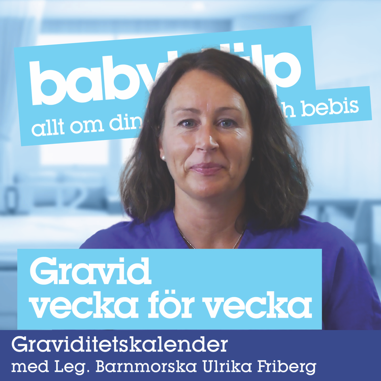 cover art for Gravid vecka för vecka