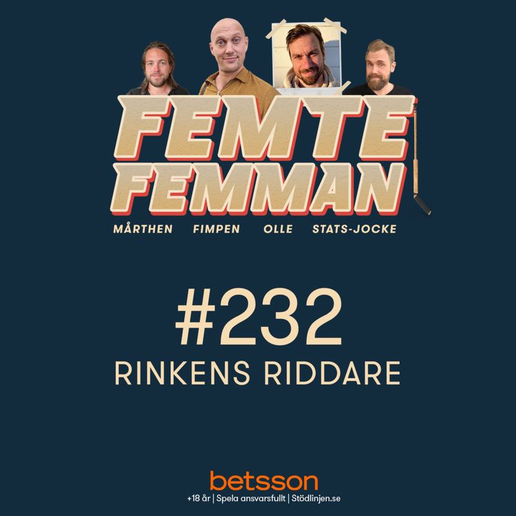 cover art for Rinkens Riddare