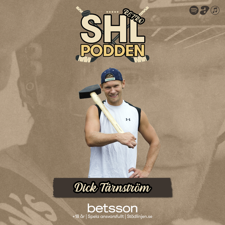 cover art for Retro - Dick Tärnström