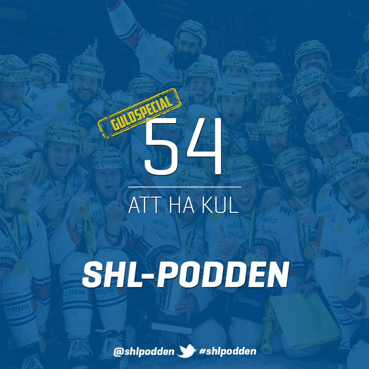 cover art for 54. Att ha kul