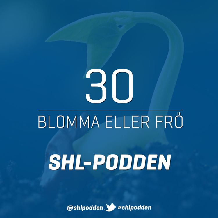 cover art for 30. Blomma eller frö