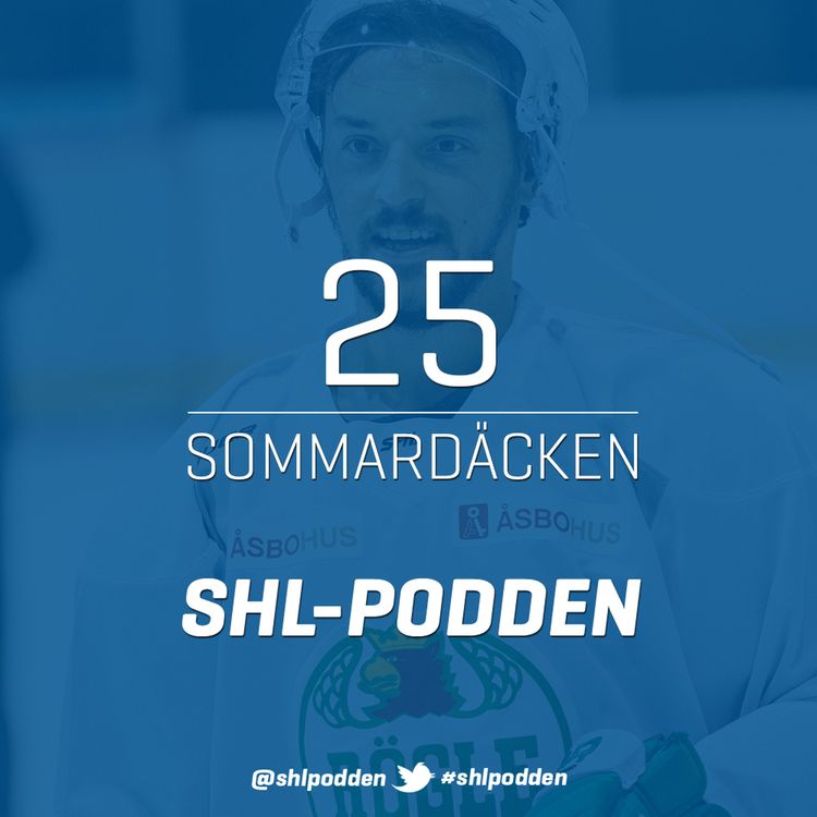 cover art for 25. Sommardäcken