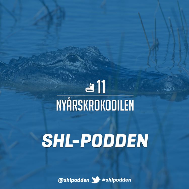 cover art for 11. Nyårskrokodilen