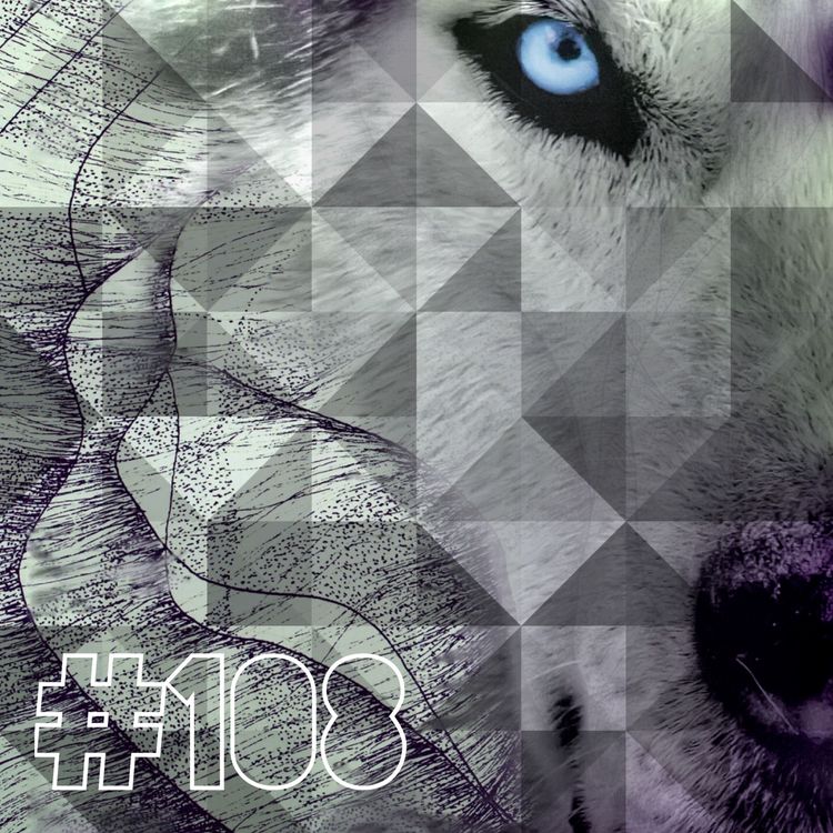 cover art for avsnitt 108 - om Husky / Magnus Ormestad