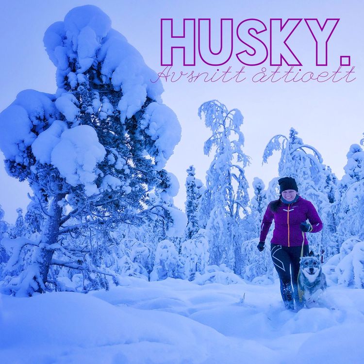 cover art for avsnitt 81 - Sofie Lantto